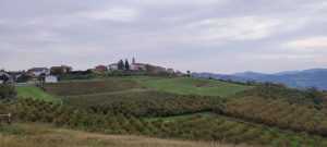 IMG_20231029_105819
