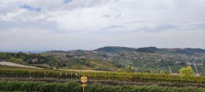 IMG_20231029_112755