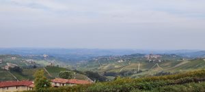IMG_20231029_112806