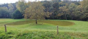 IMG_20231029_121956