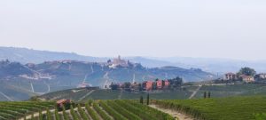 IMG_20231029_131122