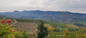 IMG_20231029_143229