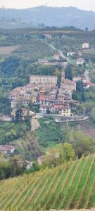 IMG_20231029_152656