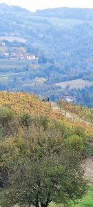 IMG_20231029_153036