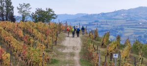 IMG_20231029_153624