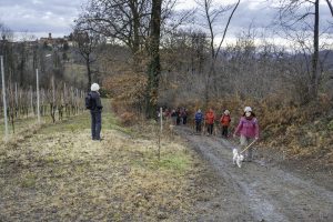 Cinzano_Vezzolano-11