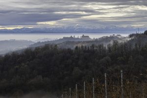 Cinzano_Vezzolano-12