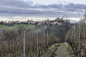 Cinzano_Vezzolano-14