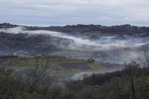 Cinzano_Vezzolano-23
