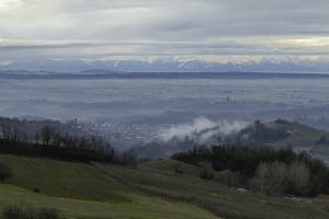 Cinzano_Vezzolano-25