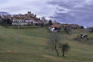 Cinzano_Vezzolano-3