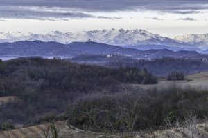 Cinzano_Vezzolano-4