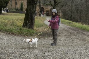 Cinzano_Vezzolano-46