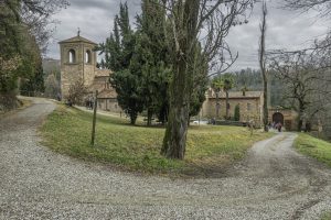 Cinzano_Vezzolano-47