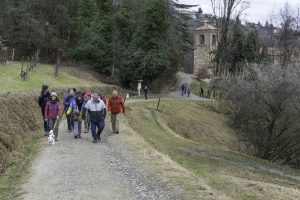 Cinzano_Vezzolano-51