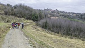 Cinzano_Vezzolano-52