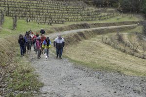 Cinzano_Vezzolano-53