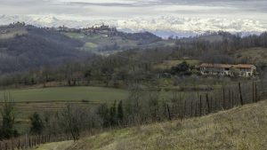 Cinzano_Vezzolano-54