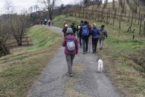 Cinzano_Vezzolano-57