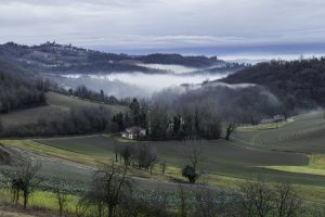 Cinzano_Vezzolano-6
