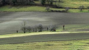 Cinzano_Vezzolano-7