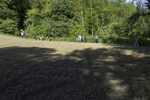 P1003960