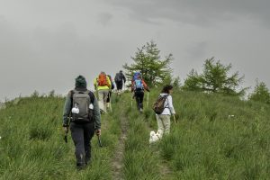 P1004064