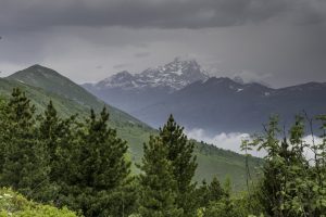 P1004081