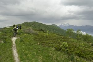 P1004086