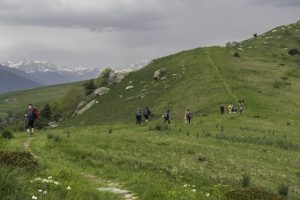 P1004090