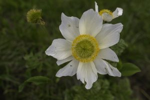 P1004092