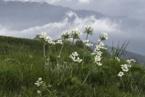 P1004134