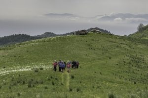 P1004149