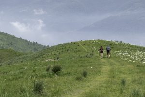 P1004150