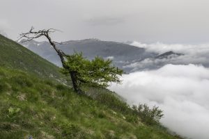 P1004187