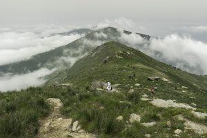 P1004219