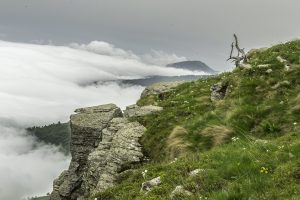 P1004245