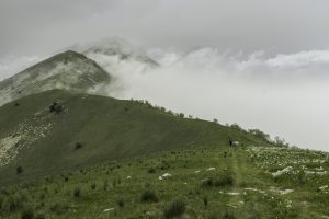 P1004271