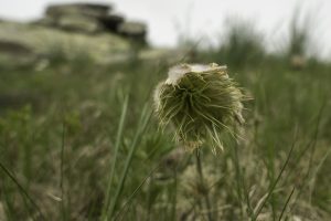 P1004286