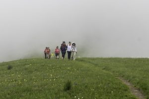 P1004291