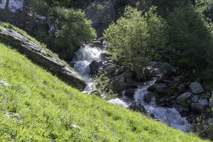 P1004308