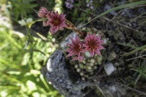 P1004328