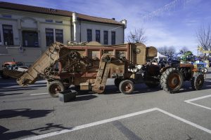 NZF_1534