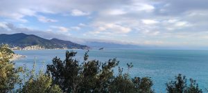 IMG-20250202-WA0015