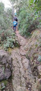 IMG-20250202-WA0020
