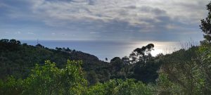 IMG-20250202-WA0024