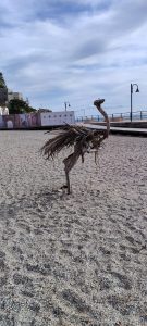 IMG-20250202-WA0037