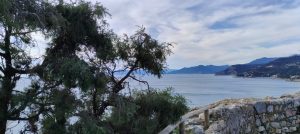 IMG-20250202-WA0041