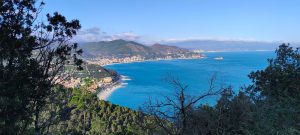 IMG-20250202-WA0053